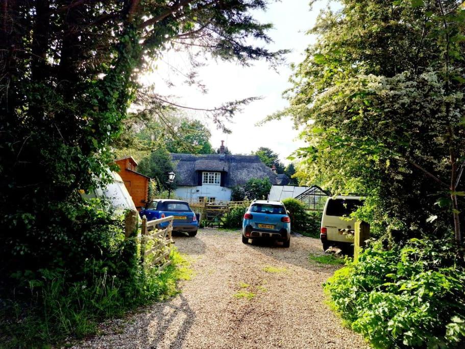 Piddle Puddle Cabin ドーチェスター エクステリア 写真